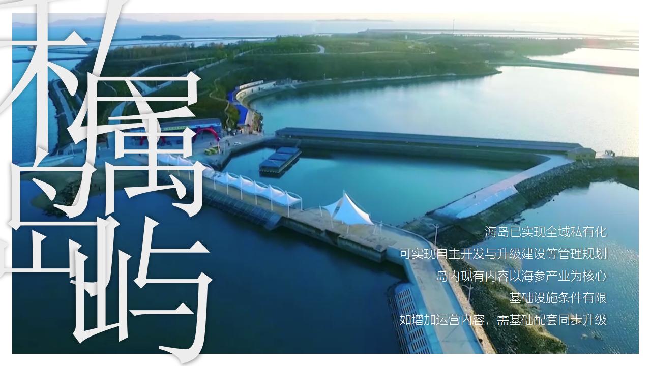 大连小平岛-中国首个参主题海岛文旅内容规划_04.jpg